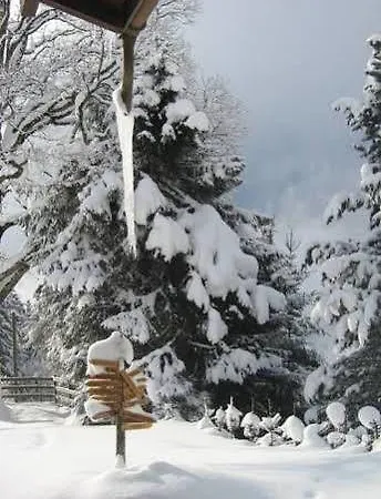 Naturfreunde * Grindelwald