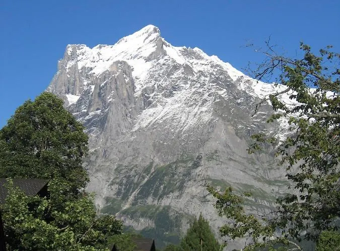 Naturfreunde Γκρίντελβαλντ