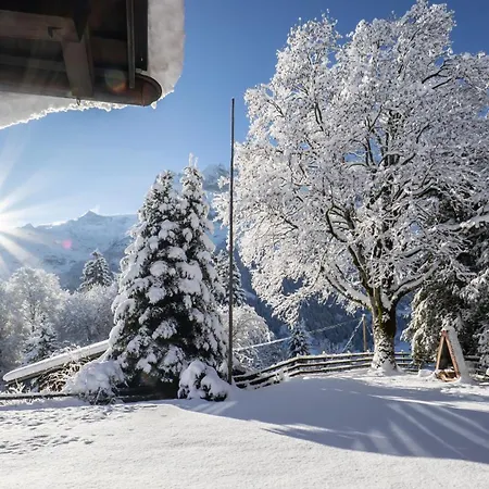 بيت شباب Naturfreunde