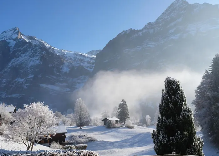 Naturfreunde 旅馆 *